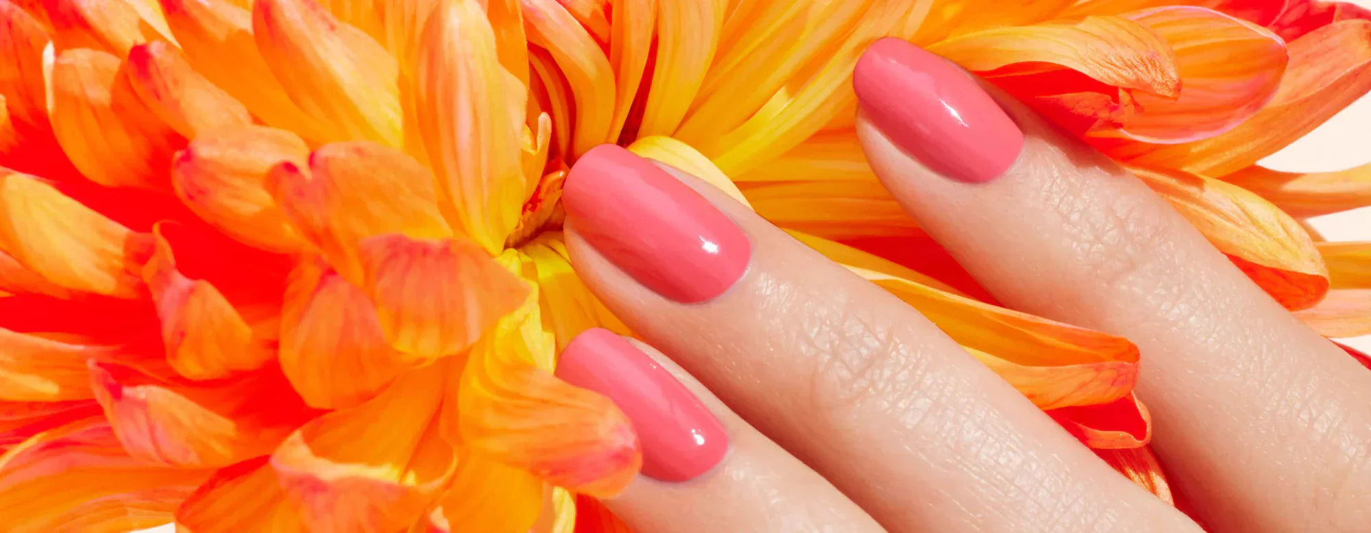 Nos couleurs