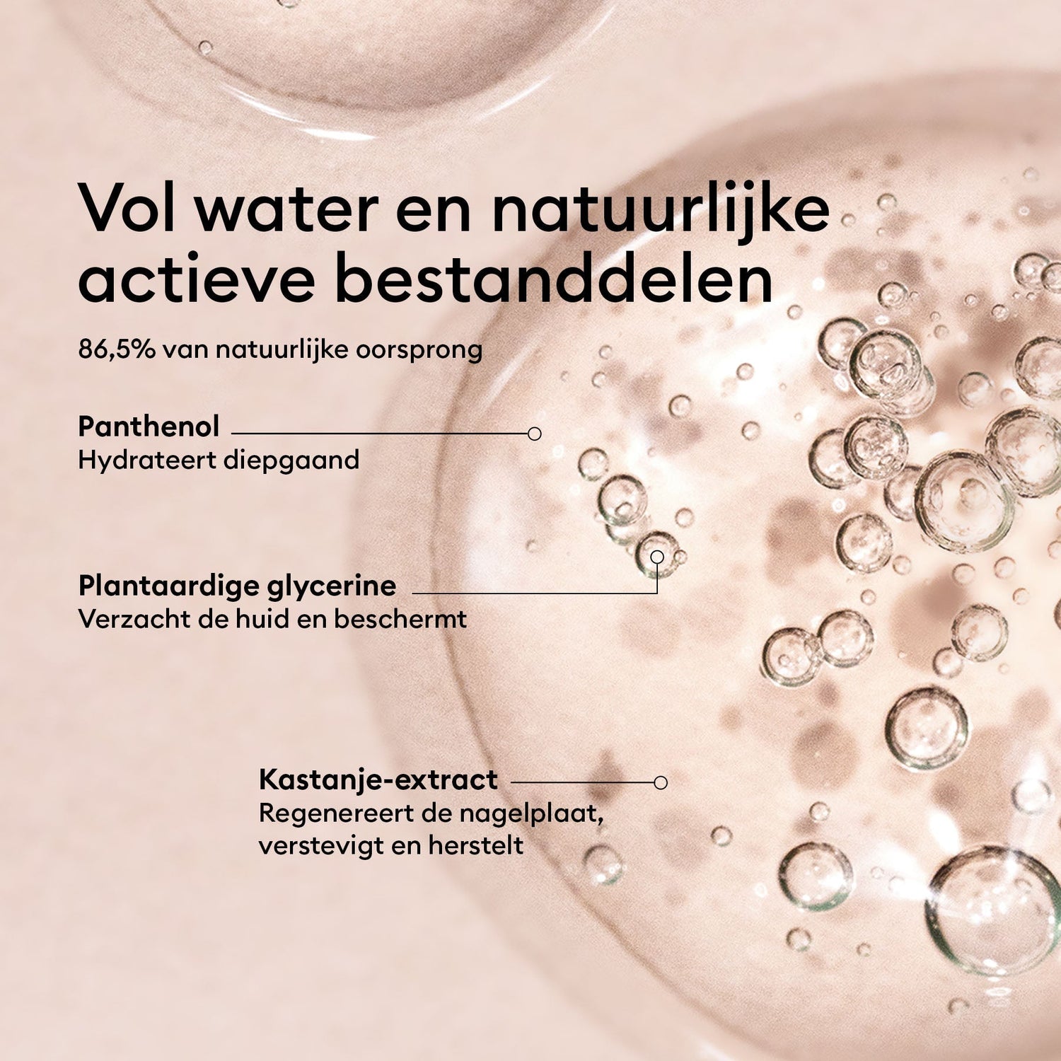 Sérum Complet